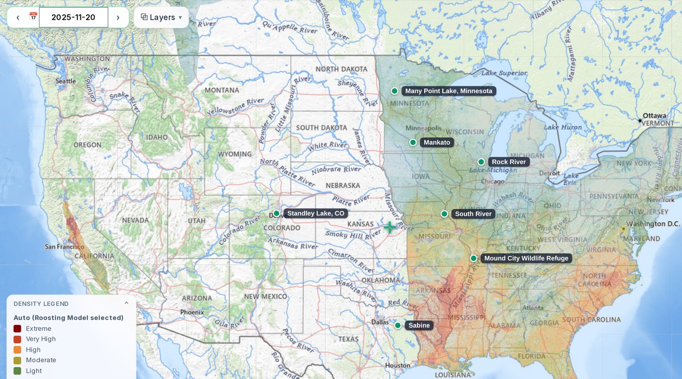 The Roost model across the United States on November 20, 2025, covering the Mississippi and Atlantic flyways and California's Central Valley