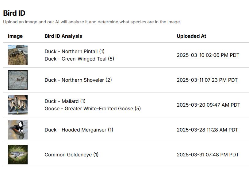 BirdID screenshot showing species identification from uploaded hunt photos